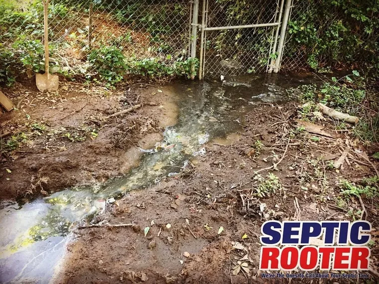 Surfacing effluent in a yard from a failing septic system